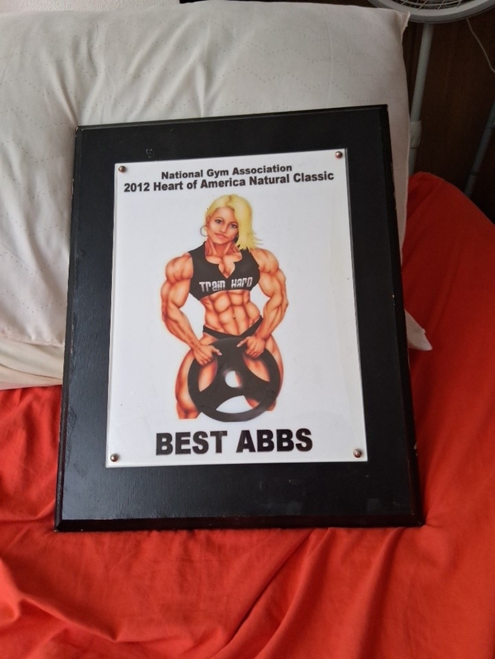 Best Abbs Award Plaque with Muscle Graphic 15 X 12
